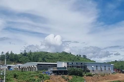 Khánh Hòa xử phạt, buộc tháo dỡ trại heo xây dựng trái phép trên đất rừng