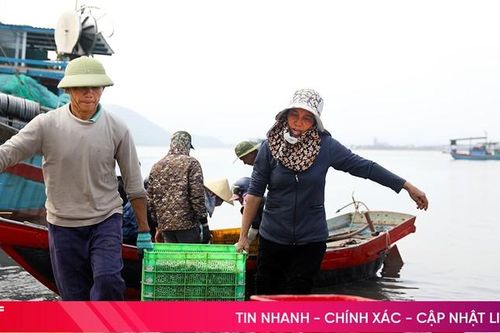 Vì sao sản lượng thủy sản được giám sát qua cảng cá Hà Tĩnh còn thấp?