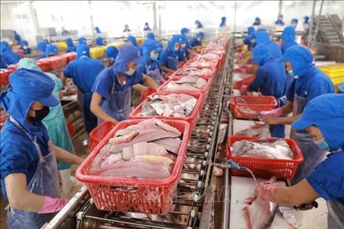 Từ 1/7/2025: Chậm đóng BHXH sẽ bị phạt 0,03%/ngày tiền chậm nộp