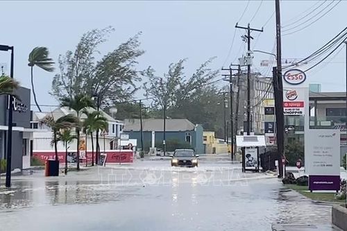Sáu người thiệt mạng do bão Beryl, Caribe tiếp tục báo động
