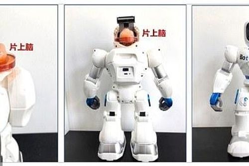 Các nhà khoa học Trung Quốc tạo ra robot có bộ não con người