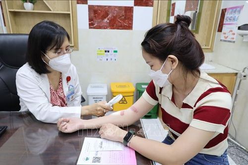 TP Hồ Chí Minh: Nhiều người dân khổ sở vì kiến ba khoang trong mùa mưa