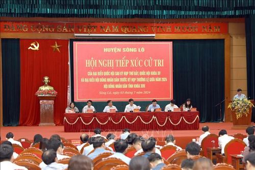 Cử tri phản ánh nhiều dự án chậm triển khai do vướng quy hoạch