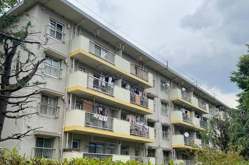 Cái chết trong cô độc của người già Nhật Bản