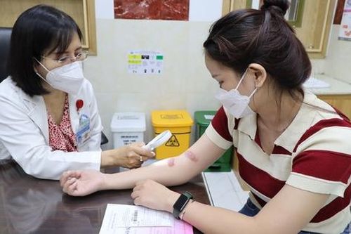 TPHCM: Nhiều người bị viêm da tiếp xúc do kiến ba khoang