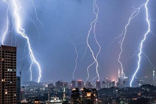 Cô giáo đang lùa vịt vào lều thì bị sét đánh tử vong
