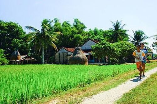 Quay quắt nhớ con đường quê