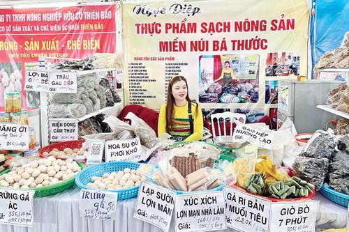 Ứng dụng khoa học và công nghệ: Khoảng cách từ lý thuyết đến thực tiễn (Bài 2): Còn nhiều bất cập