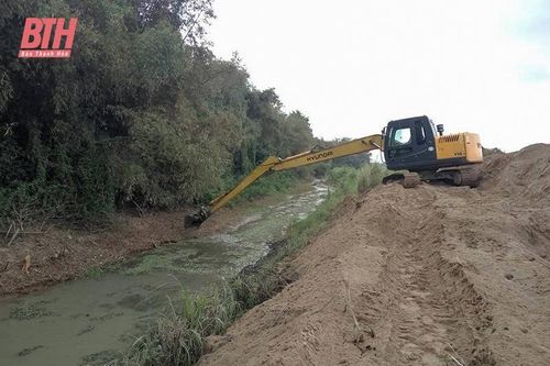 Phòng, chống ngập úng cho cây trồng vụ mùa