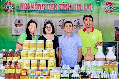 Áp dụng tiêu chuẩn, quy chuẩn kỹ thuật, công cụ cải tiến năng suất, nâng cao năng lực cạnh tranh của doanh nghiệp