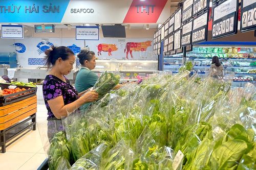 Hiện đại hạ tầng thương mại