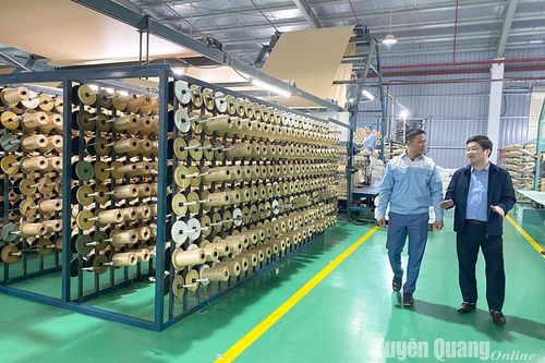 Kinh tế Tuyên Quang 6 tháng đầu năm Top 10 cả nước - Bài cuối: Khắc phục khó khăn để bứt phá