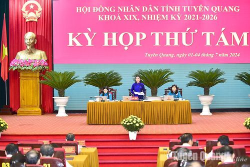 Phiên thảo luận Kỳ họp thứ tám HĐND tỉnh
