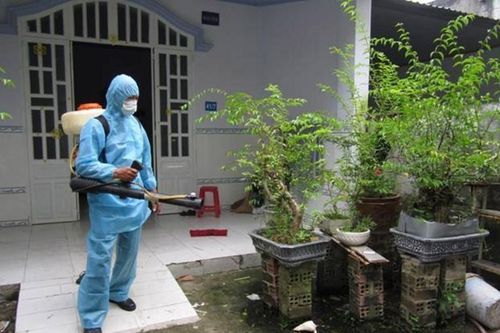 Chấm dứt nỗi lo mối mọt với dịch vụ diệt mối uy tín, giá rẻ của Diệt Mối 24H