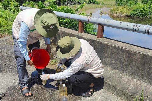 Cá chết bất thường trên sông Mỹ Gia, ngành chức năng đã vào cuộc
