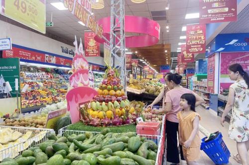 Cách nào gia tăng hiện diện thương hiệu Việt trên thị trường thế giới?