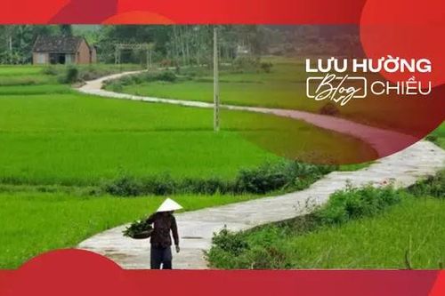 Giữa quê lòng lại nhớ quê
