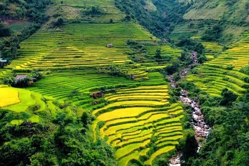 Mùa gặt