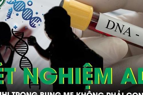 ADN và những chuyện khó tin: Thai nhi trong bụng mẹ nhưng không phải con ruột