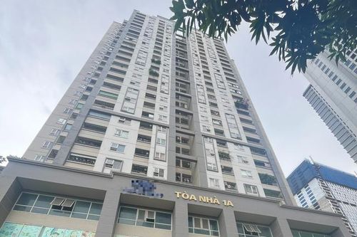 Thông tin mới vụ nghi án sát hại con trai tại chung cư ở Hà Nội