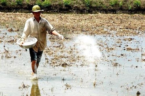 Báo động 'sức khỏe' đất sản xuất