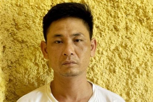 Đưa 5 con trâu thả rông bên đường lên xe tải chở về cất giấu