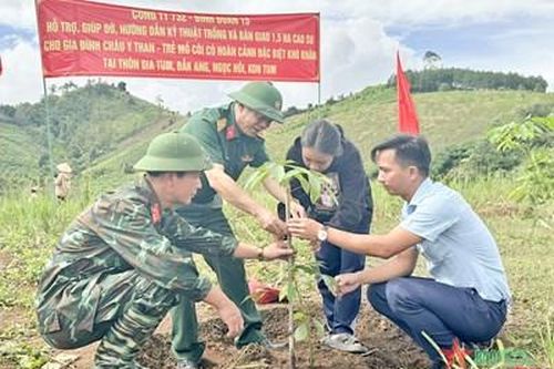 Công ty 732: Hỗ trợ trồng 610 cây cao su, tạo sinh kế bền vững cho trẻ em mồ côi