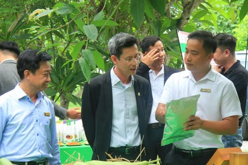 Trường đại học hợp tác với doanh nghiệp, tạo cơ hội việc làm cho sinh viên