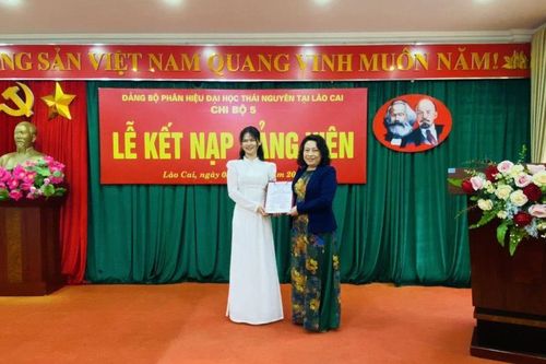 Nâng cao chất lượng công tác phát triển Đảng trong sinh viên