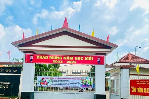 Sai phạm tại trường tiểu học Nam Cao (Đồng Nai): Chuyển hồ sơ sang cơ quan điều tra