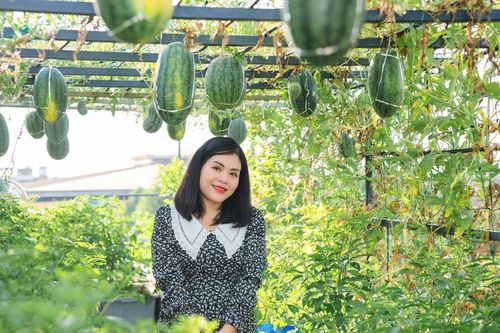 Mẹ đảm ở Hà Tĩnh làm vườn dưa treo trên sân thượng, thu 600 quả ngọt một mùa