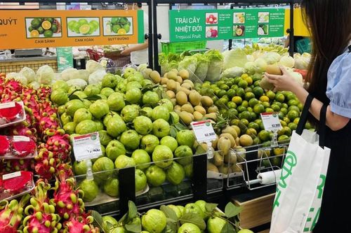 Lotte Mart hưởng ứng Ngày quốc tế không sử dụng túi nilon