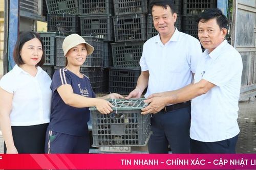 Cẩm Xuyên trao sinh kế cho hộ nghèo, cận nghèo
