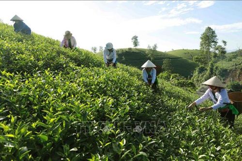 Hút FDI cho vùng miền núi