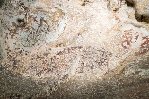 Phát hiện tác phẩm nghệ thuật lâu đời nhất thế giới trong hang động ở Indonesia