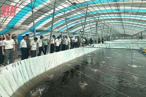 Ứng dụng khoa học - công nghệ trong sản xuất nông nghiệp tại Hoằng Hóa