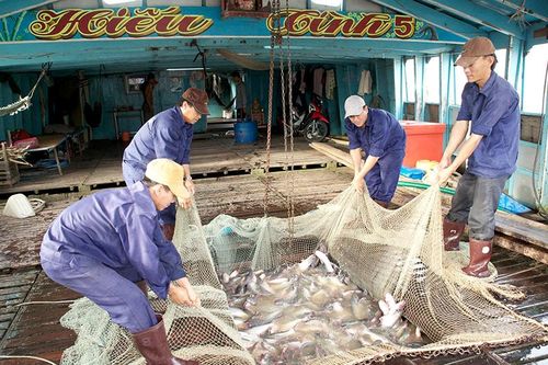 Tạo đòn bẩy để sản phẩm chủ lực, đặc thù phát triển