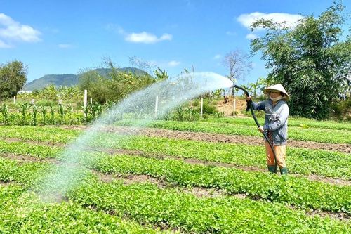 Dự báo, cảnh báo thời tiết trong tháng 7 trên địa bàn tỉnh Gia Lai