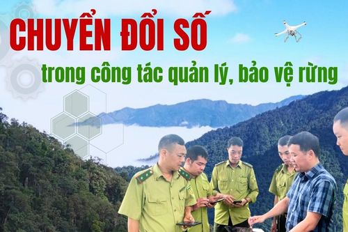 Chuyển đổi số trong công tác quản lý, bảo vệ rừng
