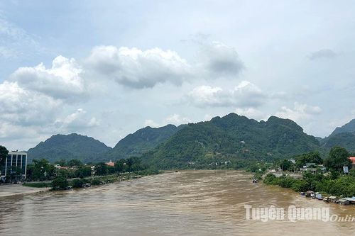 Chủ động ứng phó, khắc phục hậu quả mưa lũ trên địa bàn tỉnh