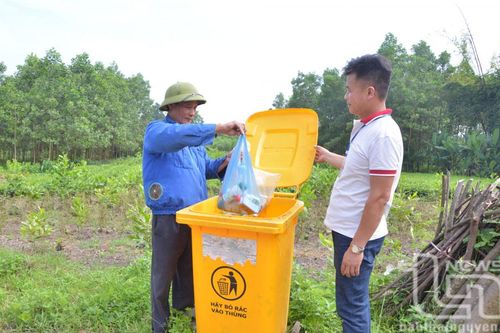 Xây dựng vùng chè sạch, an toàn