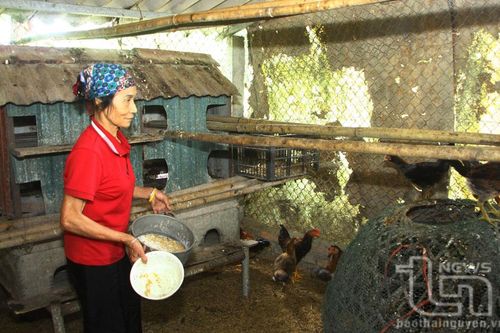 Tiếp sức để nông dân thoát nghèo