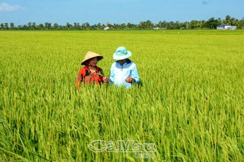 Ðổi mới sáng tạo: Nền tảng của sự phát triển