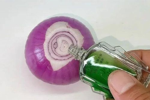Nhỏ một giọt dầu gió vào hành tây, muỗi và côn trùng sẽ tránh xa nhà bạn
