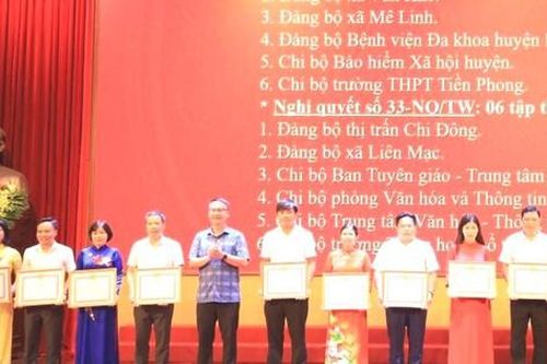 Mê Linh: 24 tập thể, cá nhân được khen thưởng trong công tác bảo hiểm y tế và văn hóa