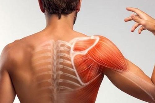 3 bệnh khớp vai thường gặp ở người cao tuổi
