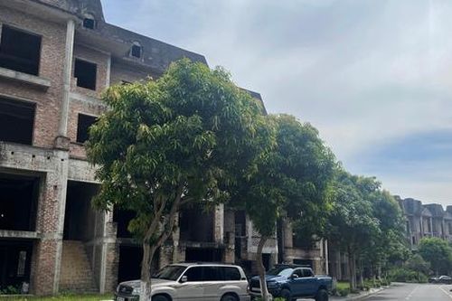 Cận cảnh biệt thự triệu đô bỏ hoang, chỉ để trồng rau