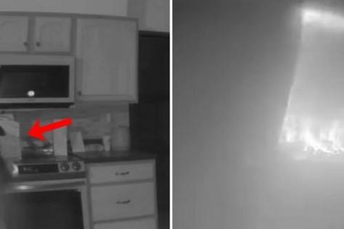 Camera quan sát cho thấy chó cưng tỉnh dậy bật bếp giữa đêm, làm cháy nhà