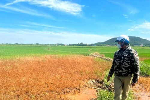 Thống nhất phương án đền bù cho người dân sau sự cố loang dầu ở Hà Tĩnh