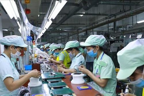 Cách nào tận dụng nguồn lao động trẻ?